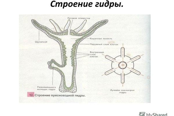 Как вывести деньги с kraken