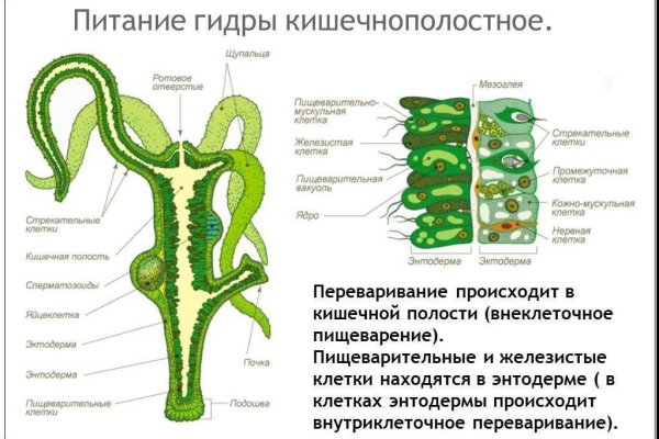 Кракен в россии наркотик