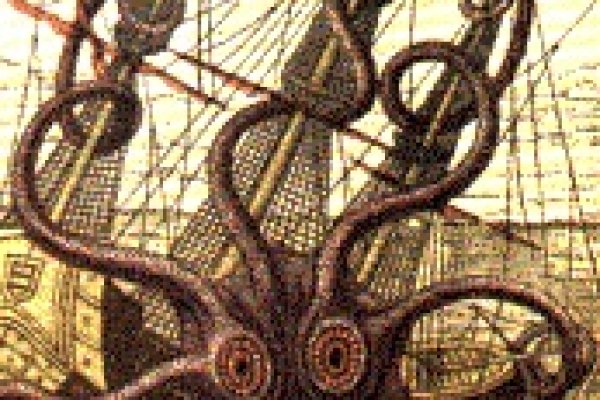 Kraken рабочее зеркало