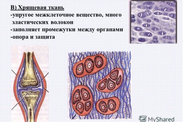 Сайт кракен не работает почему